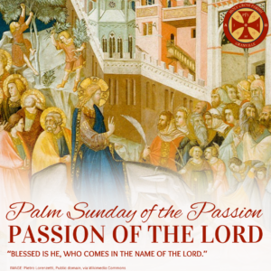 Sunday Gospel Reflection (73)