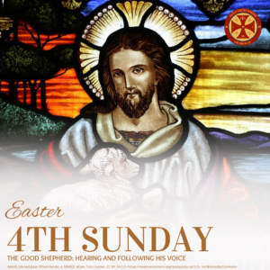 Sunday Gospel Reflection (75)