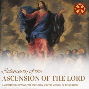 Sunday Gospel Reflection (78)