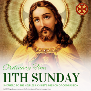 Sunday Gospel Reflection (83)