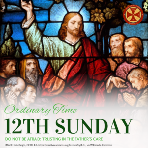 Sunday Gospel Reflection (84)