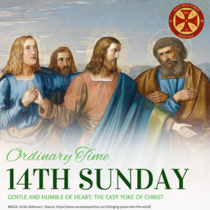 Sunday Gospel Reflection (87)