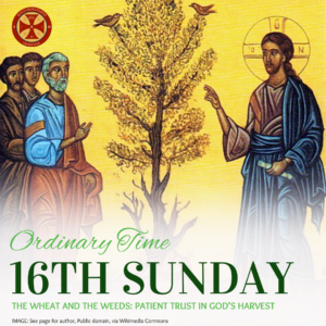 Sunday Gospel Reflection (89)